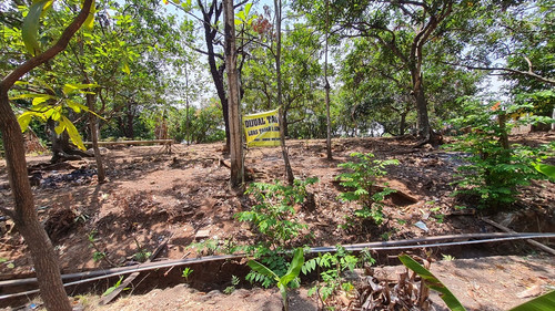 550, 085295803299.jpg