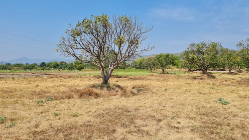 WhatsApp Image 2023 09 05 at 12.22.30 PM.jpg