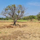 WhatsApp Image 2023 09 05 at 12.22.30 PM