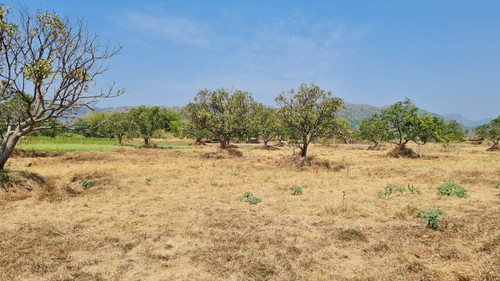 WhatsApp Image 2023 09 05 at 12.22.31 PM.jpg