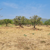 WhatsApp Image 2023 09 05 at 12.22.31 PM