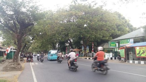 rajawali.jpg