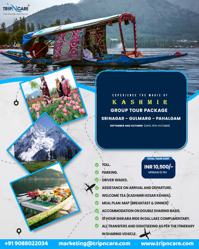 Unveil the Beauty of Kashmir with Tripncare!.jpg