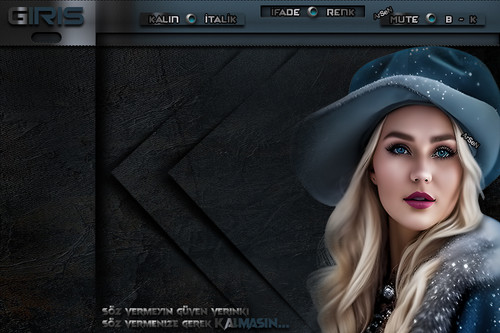 ArSeN KALMASIN BAYAN TEMA.jpg