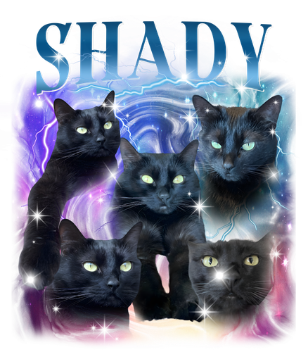 shady.png