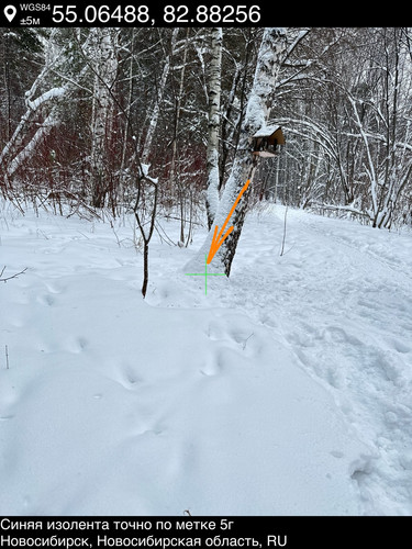 8..jpg