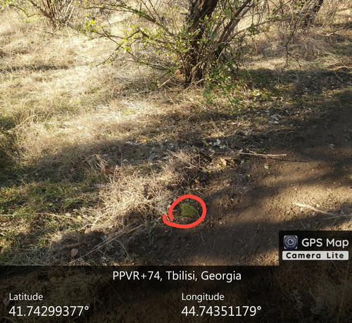 IMG 20231220 155246 714.jpg