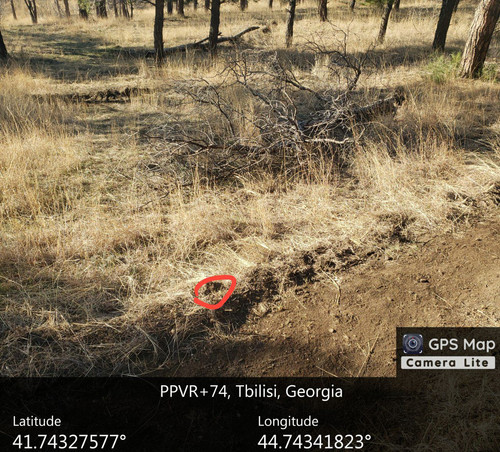 IMG 20231220 155250 891.jpg