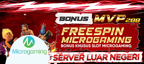 MICROGAMING`.jpg