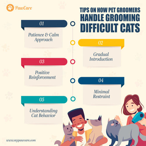 Tips on how pet groomers handle grooming difficult cats.jpg