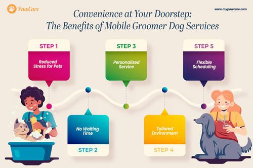Convenience at your doorstep the benefits of mobile groomer dog services.jpg