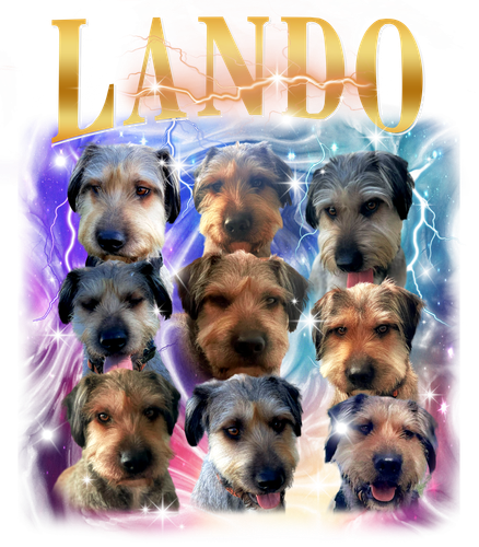 Lando.png