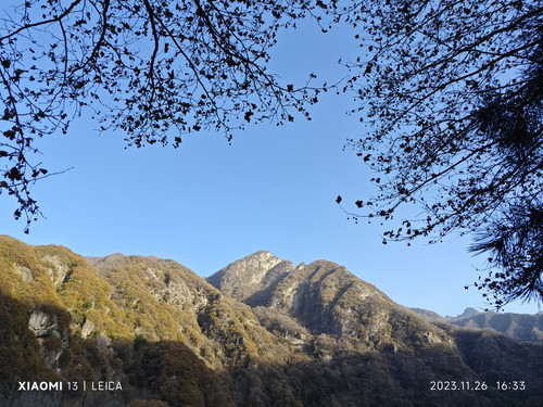 MicrosoftTeams image.jpg