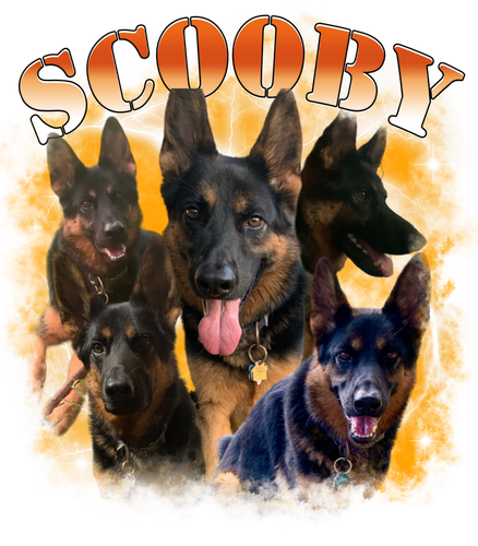 Scooby.png