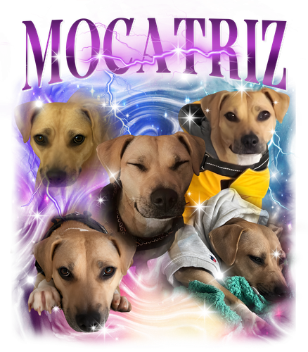 mocatriz.png
