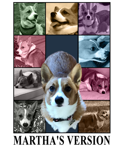 Martha's Version.png