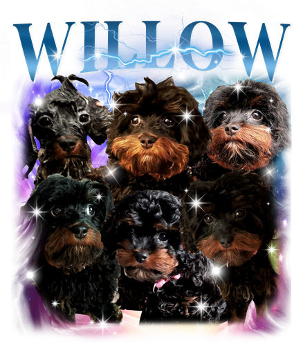 Willow.png