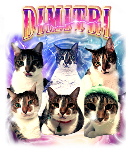 dimitri.png