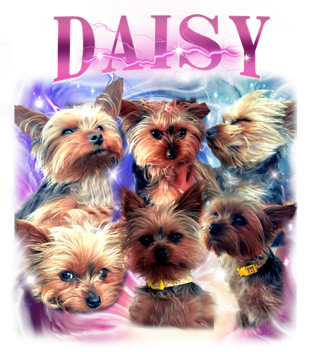 daisy 1.png