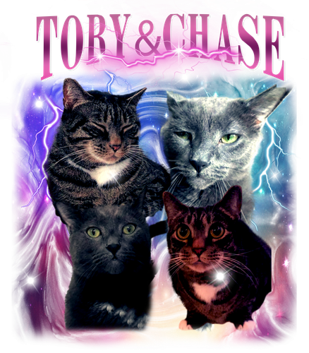 tory&chase.png