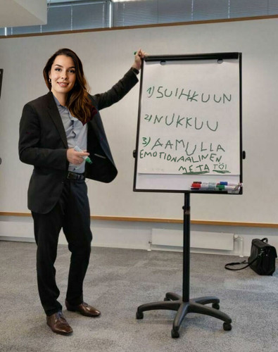 metatöi.jpg