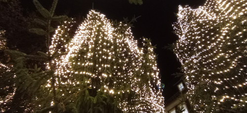 IMG 20231217 194252.jpg