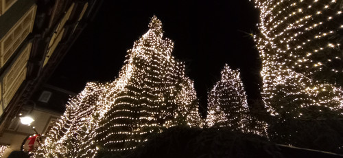 IMG 20231217 200755.jpg