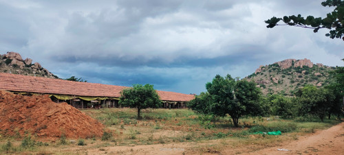 IMG 20230610 154431.jpg