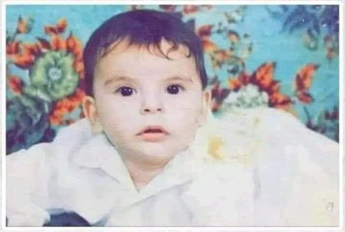 images%2Fimage 1703232548013.jpg