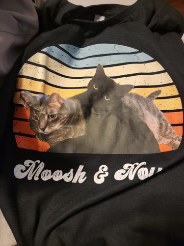 Wx6PGVOpEEJV2EywNqrIfjz PYpTJr GyA.jpg