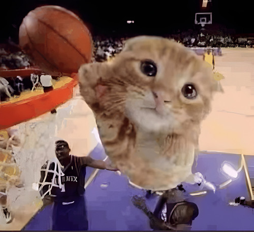 ballin cat 0000.jpg