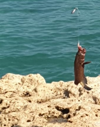 images%2Fimage 1703236088564.jpg