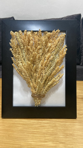 image picker DC6051C8 0F16 4E15 98B7 E1E8DA6BA99A 2962 000003397C69E40D.jpg