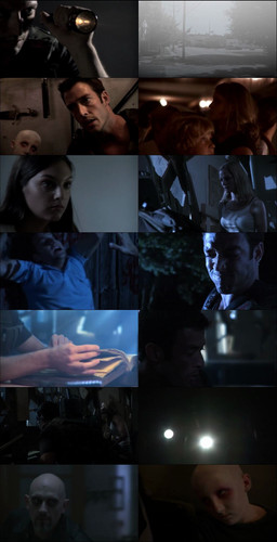 [Screen Shot] Guardians.2009.WebRip.480p.[Hindi.Dubbed.Only].jpg