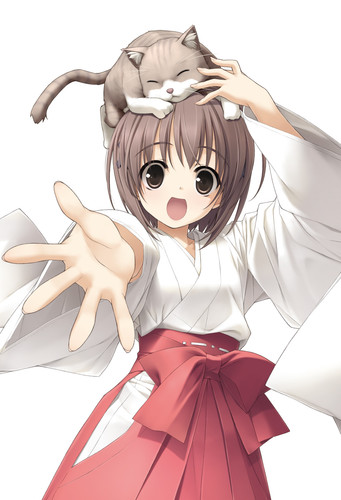 yande.re 543802 amatsume akira hashimoto takashi miko neko possible duplicate sphere yosuga no sora.jpg