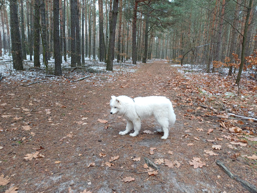 3b9a8553 a56a 4724 b57d 5b92fc22a7f0.jpg