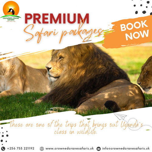 7 Days Uganda Safari With Crowned Crane Safaris.jpg