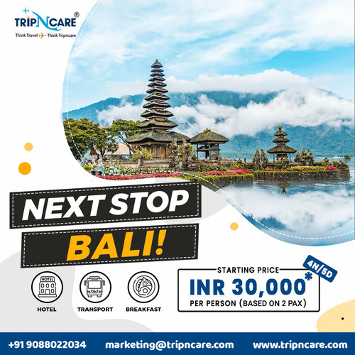 Explore the beauty of bali with Tripncare at an Affordable Price.jpg