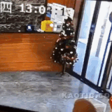 ezgif 5 2fa3fe250a.gif