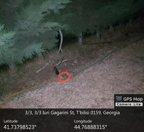 IMG 20231220 011255 619.jpg