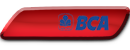 BCA NEW.png