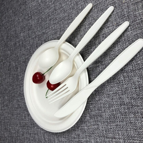 Biodegradable Disposable Cu.jpg