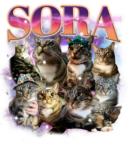 3142393345.png