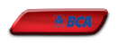 BCA NEW.png