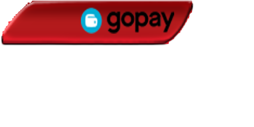 gopay new.png