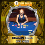 dragon tiger.gif