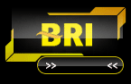 bri.gif