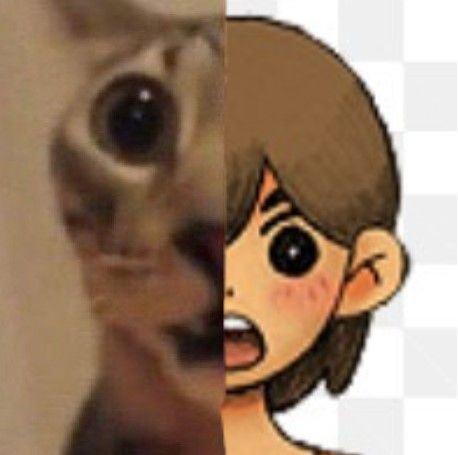 Unknown 2.jpg