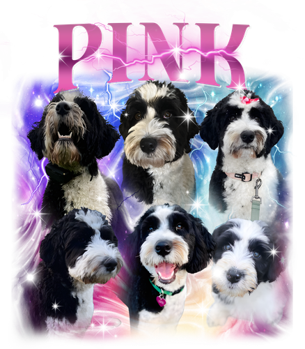 Pink.png