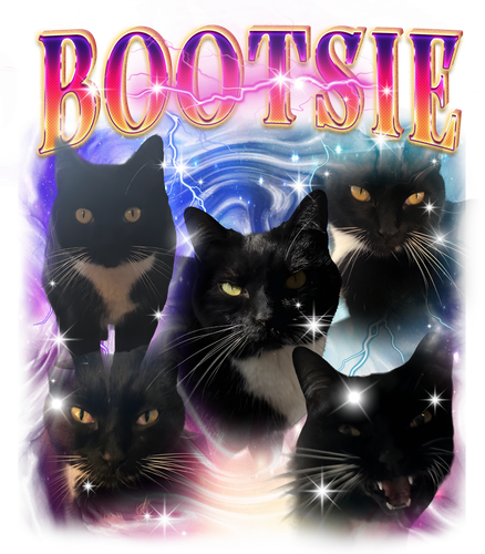 BOOTSIE.png